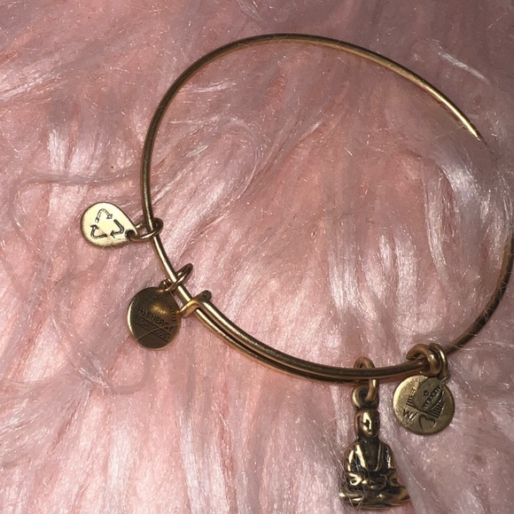 Alex & Ani Energy Technology Charm Bracelet - Picture 3 of 3